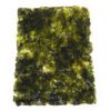 Spicy Korean Chili Seaweed Snack